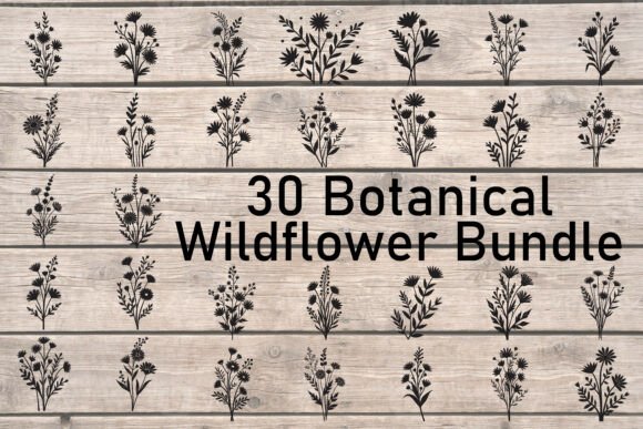 Botanical Wildflower Bundle: A Graphic Asset for Crafts and Branding