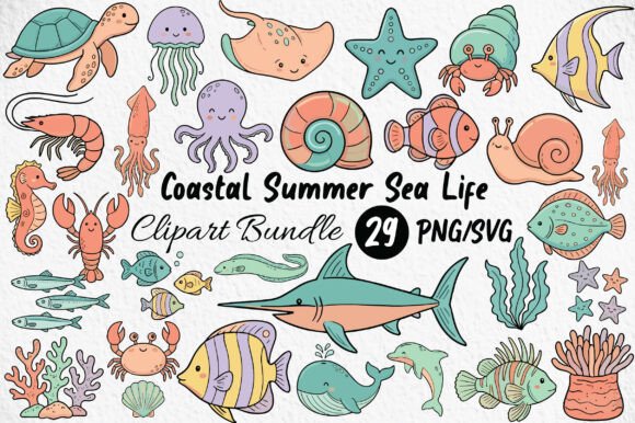 Coastal Summer Sea Life Graphics for Branding